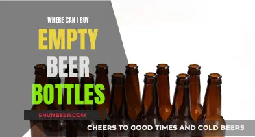 Empty Beer Bottles: Where to Buy Them?