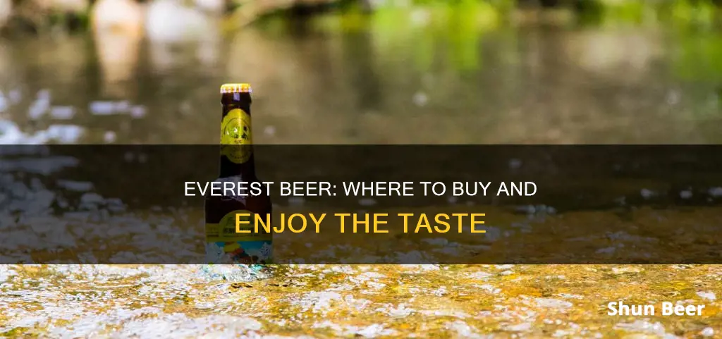 where can i buy everest beer