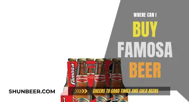 Famosa Beer: Where to Buy and Enjoy It