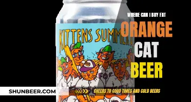 Fat Orange Cat Beer: Where to Buy and Why You Should