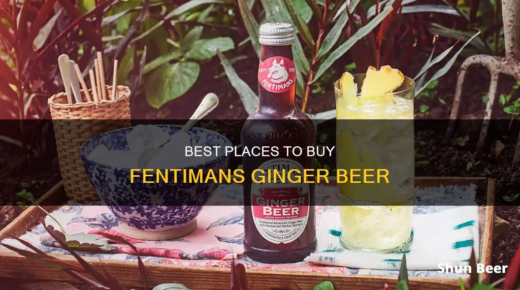 where can i buy fentimans ginger beer