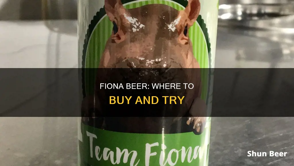 where can i buy fiona beer