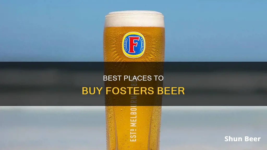 where can i buy fosters beer