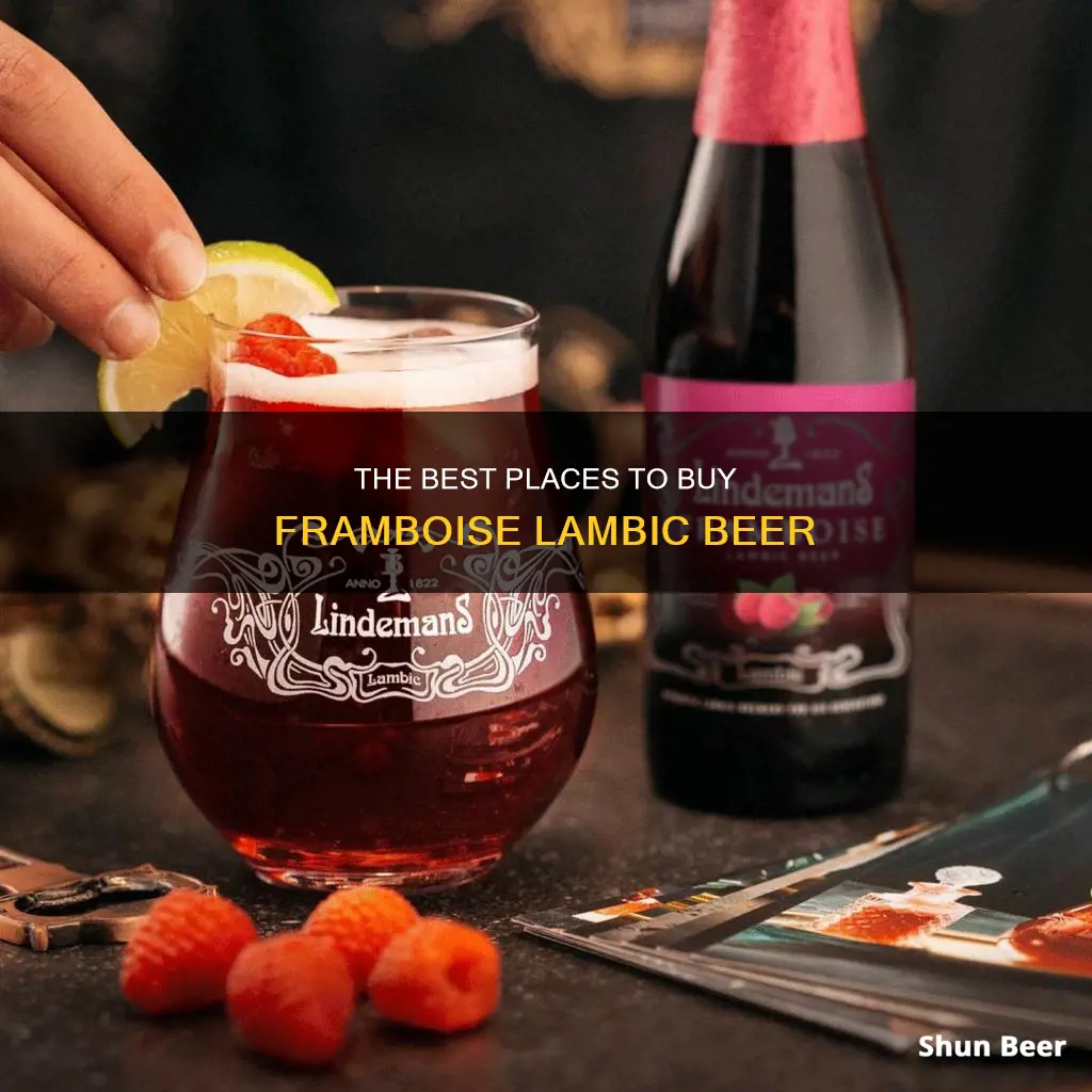 where can i buy framboise lambic beer