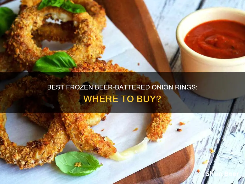 where can i buy frozen beer battered onion rings