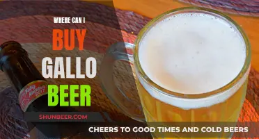 Gallo Beer: Where to Buy and What to Know