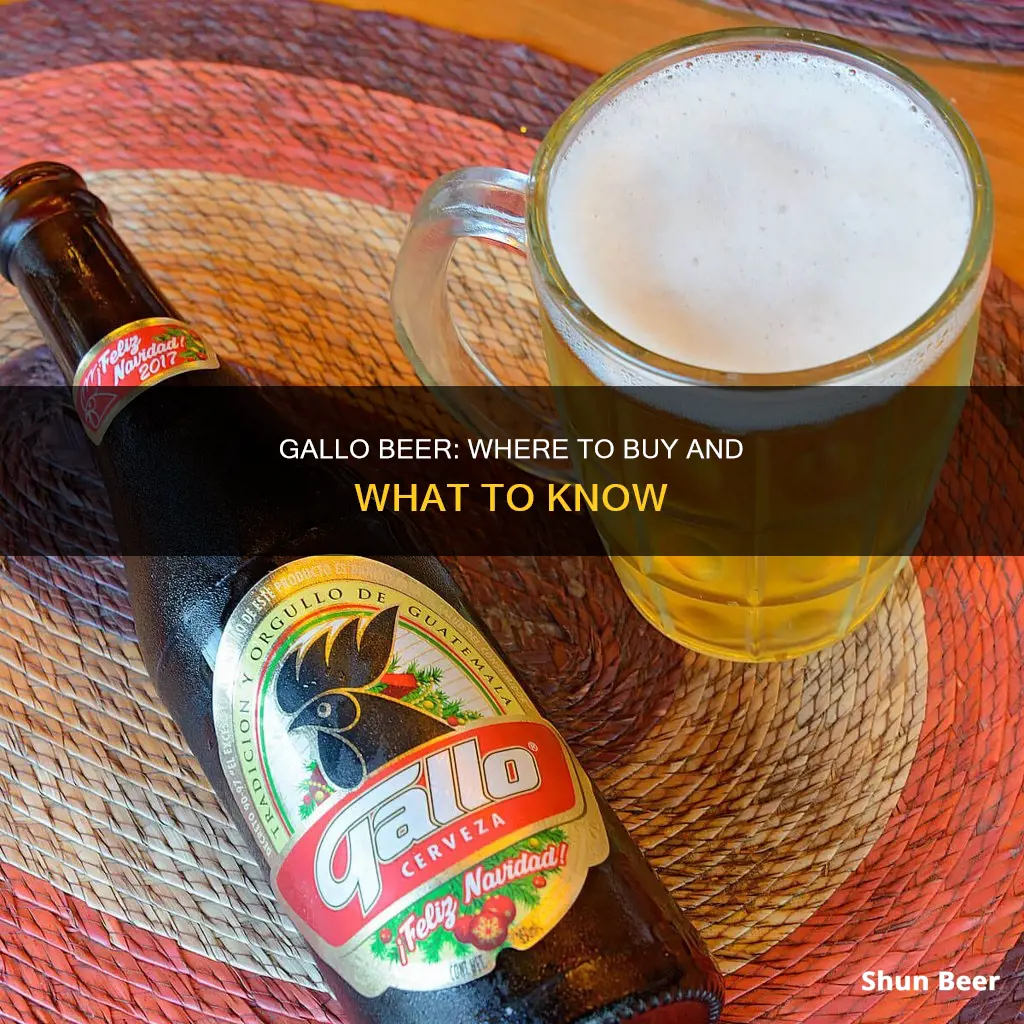 where can i buy gallo beer