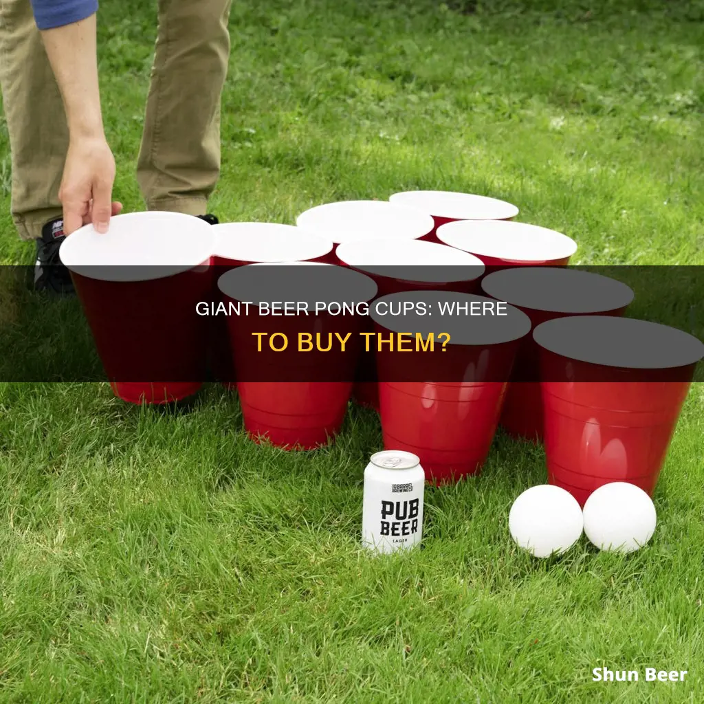 where can i buy giant beer pong cups