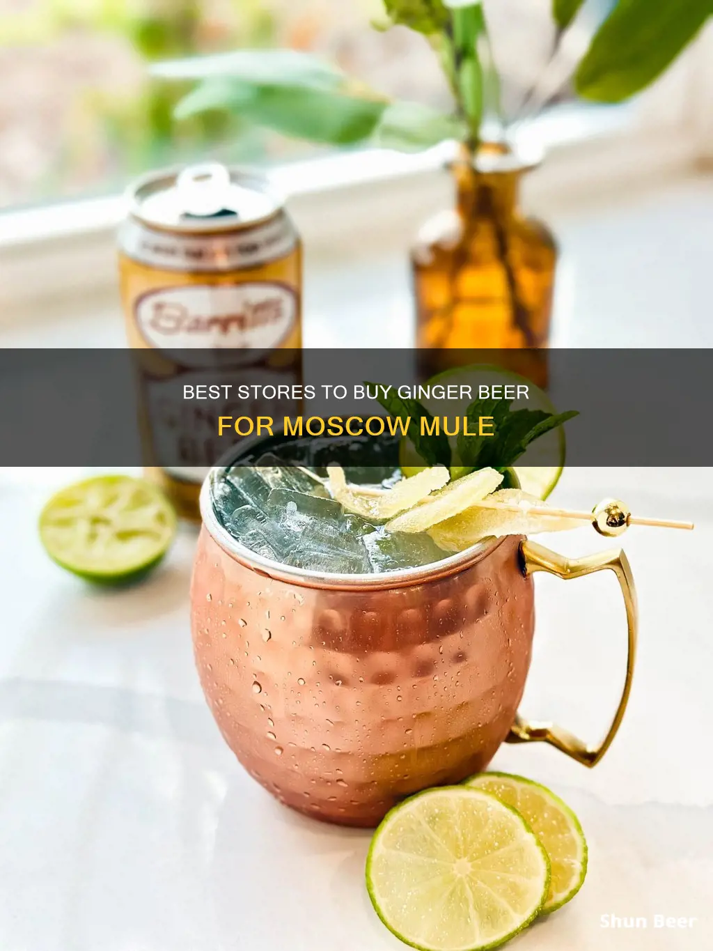 where can i buy ginger beer for moscow mule