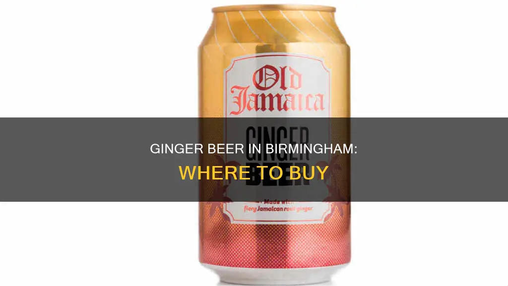 where can i buy ginger beer in birmingham al