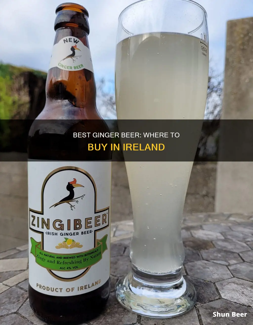 where can i buy ginger beer in ireland