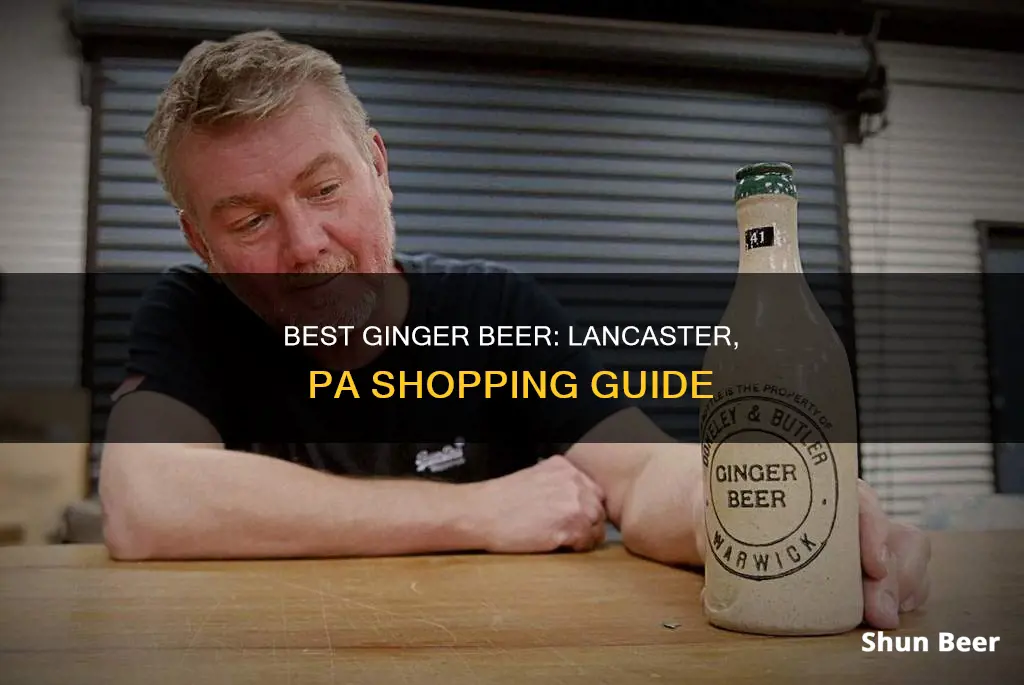 where can i buy ginger beer in lancaster pa