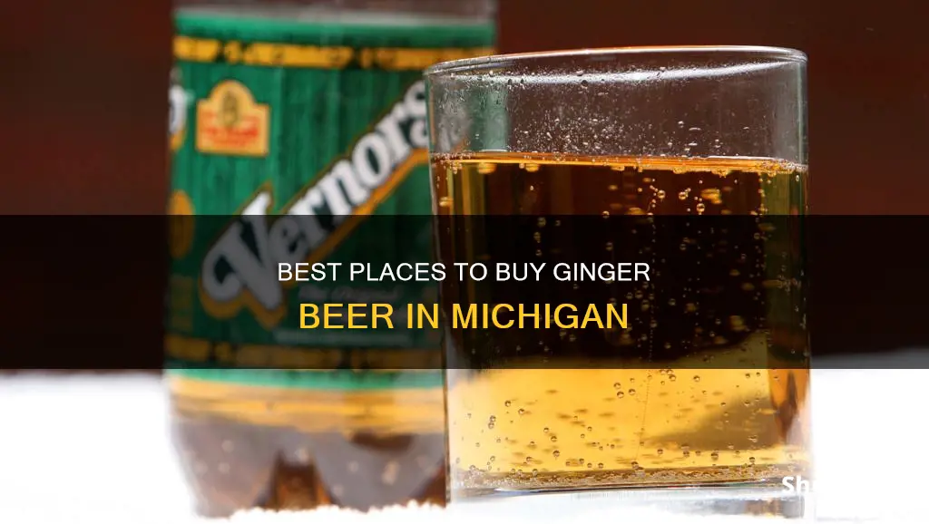 where can i buy ginger beer in michigan