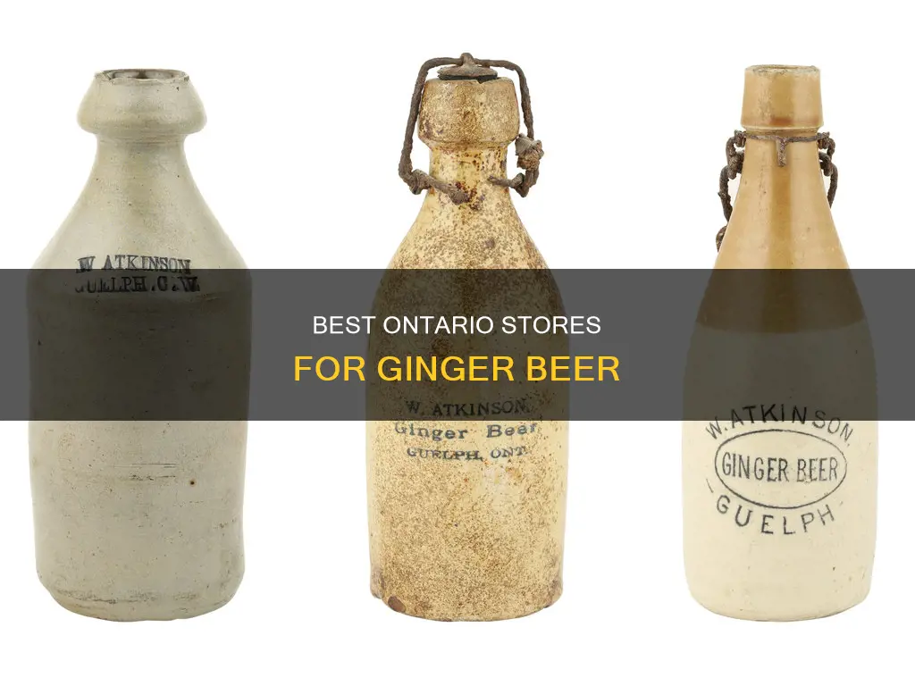 where can i buy ginger beer in ontario