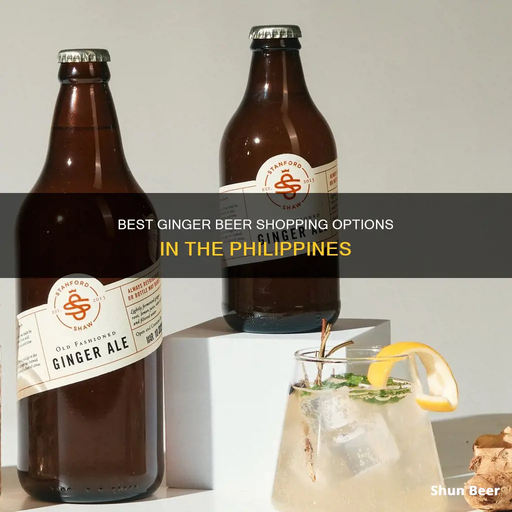 where can i buy ginger beer in the philippines