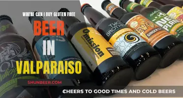 Gluten-Free Beer: Valparaiso's Best Places to Buy