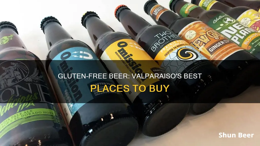 where can i buy gluten free beer in valparaiso