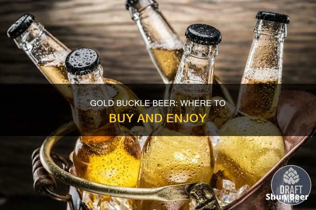 where can i buy gold buckle beer