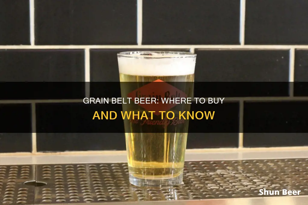 where can i buy grain belt beer