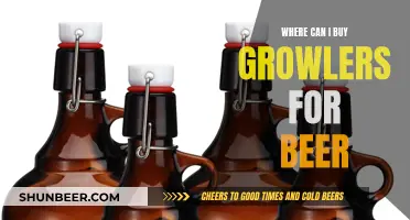 Best Beer Growler Buying Guide for You