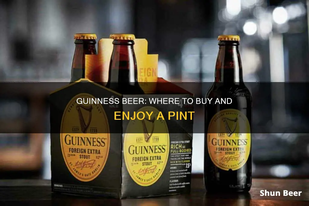 where can i buy guinness beer