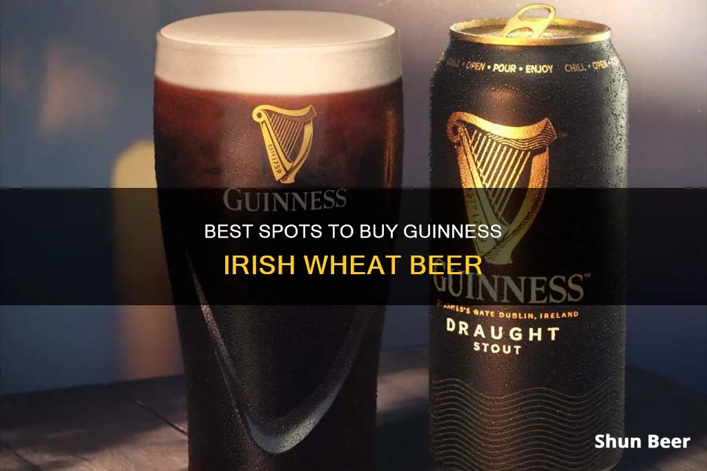 where can i buy guinness irish wheat beer