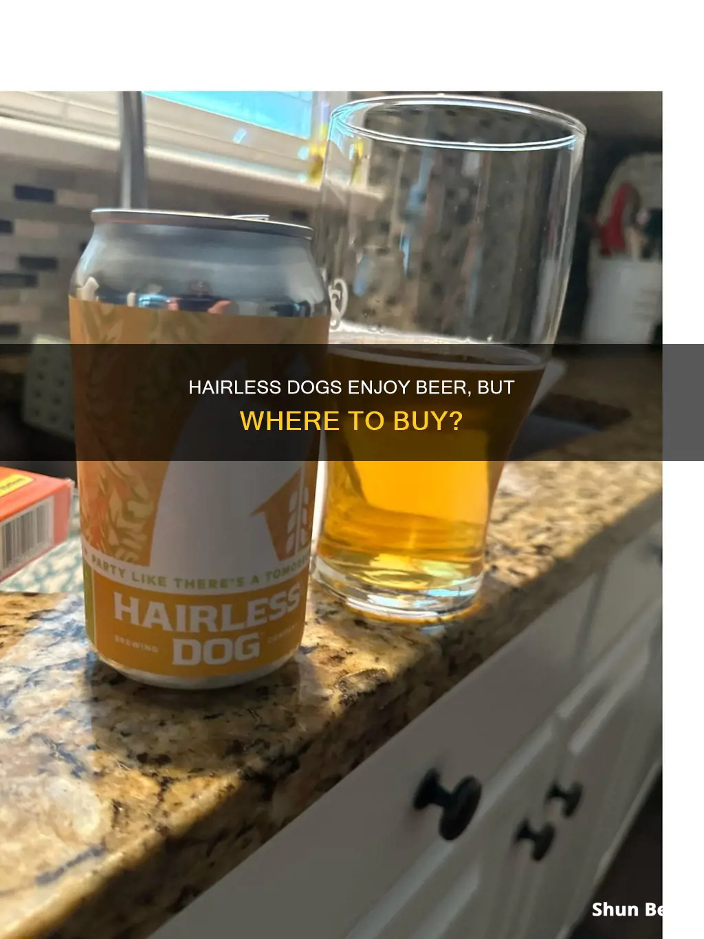 where can i buy hairless dog beer