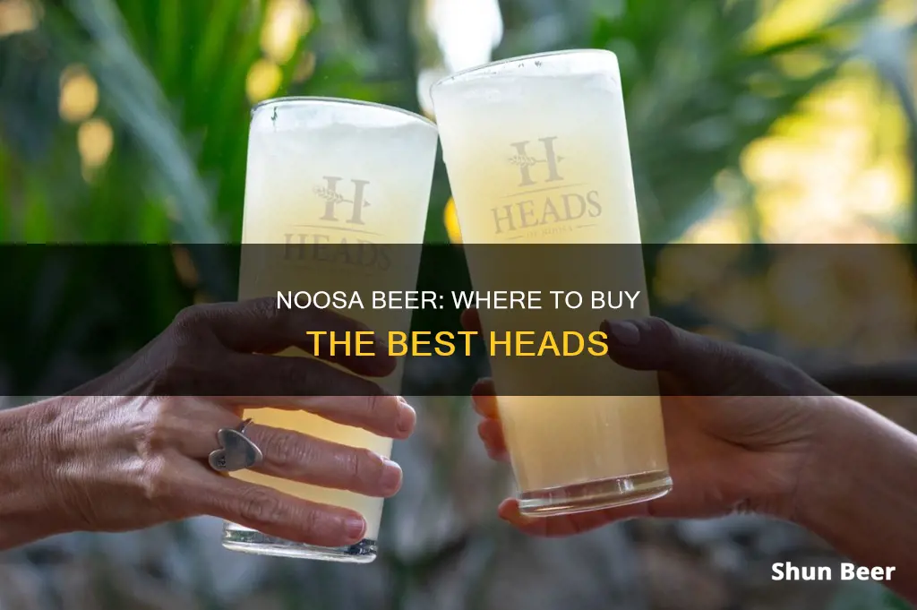 where can i buy heads of noosa beer