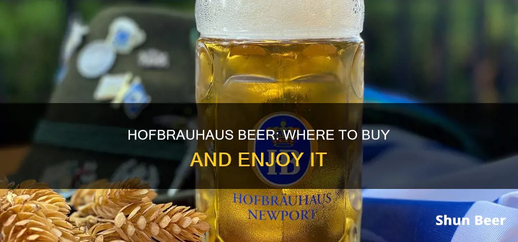 where can i buy hofbrauhaus beer