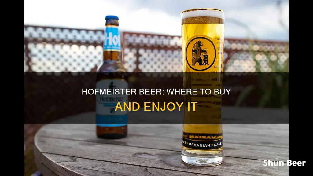 where can i buy hofmeister beer