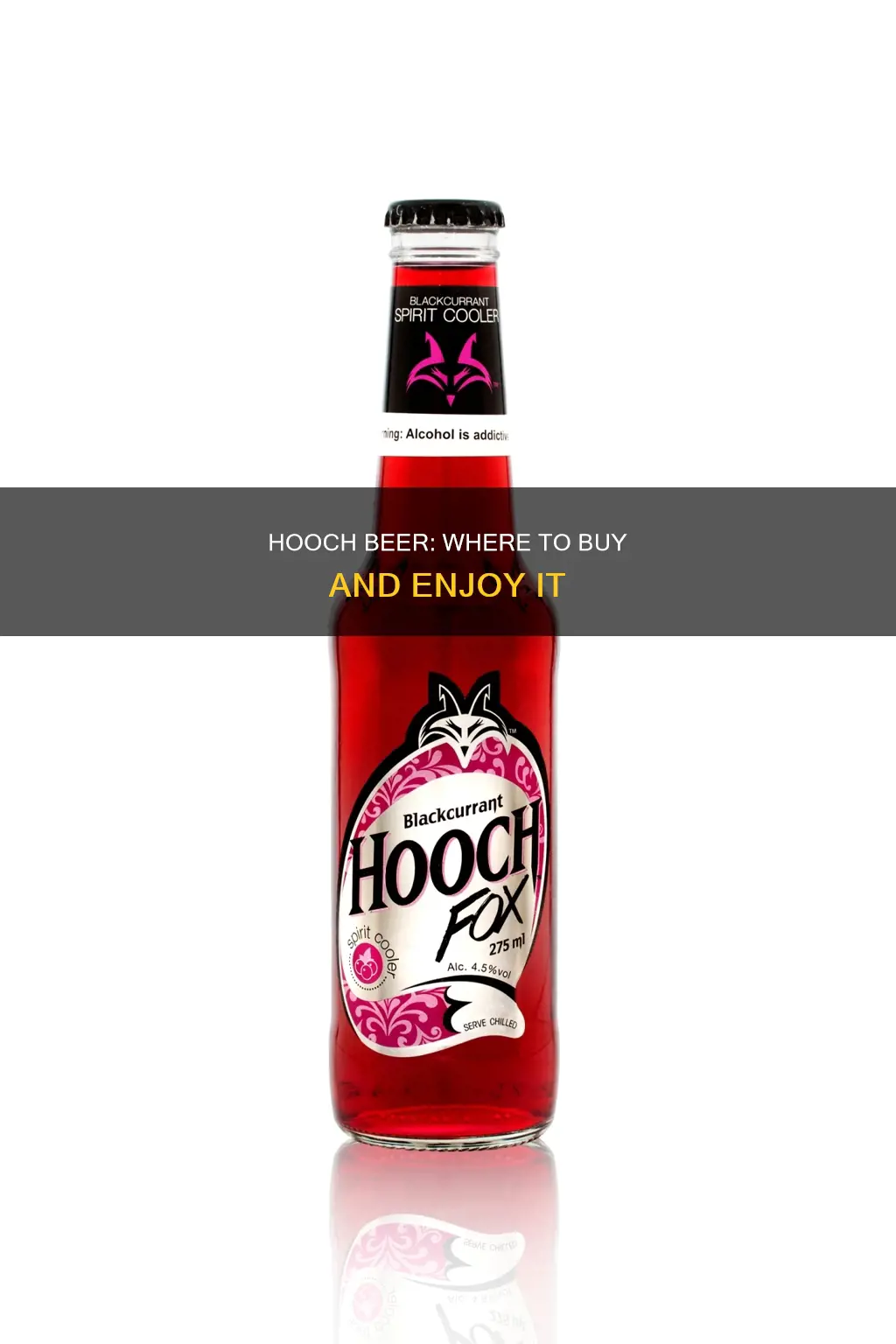 where can i buy hooch beer