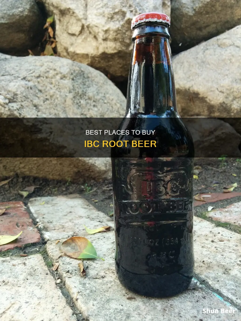 where can i buy ibc root beer