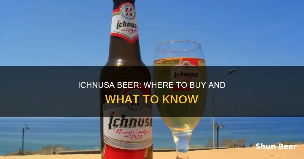 where can i buy ichnusa beer