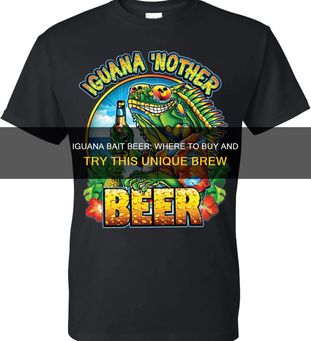 where can i buy iguana bait beer