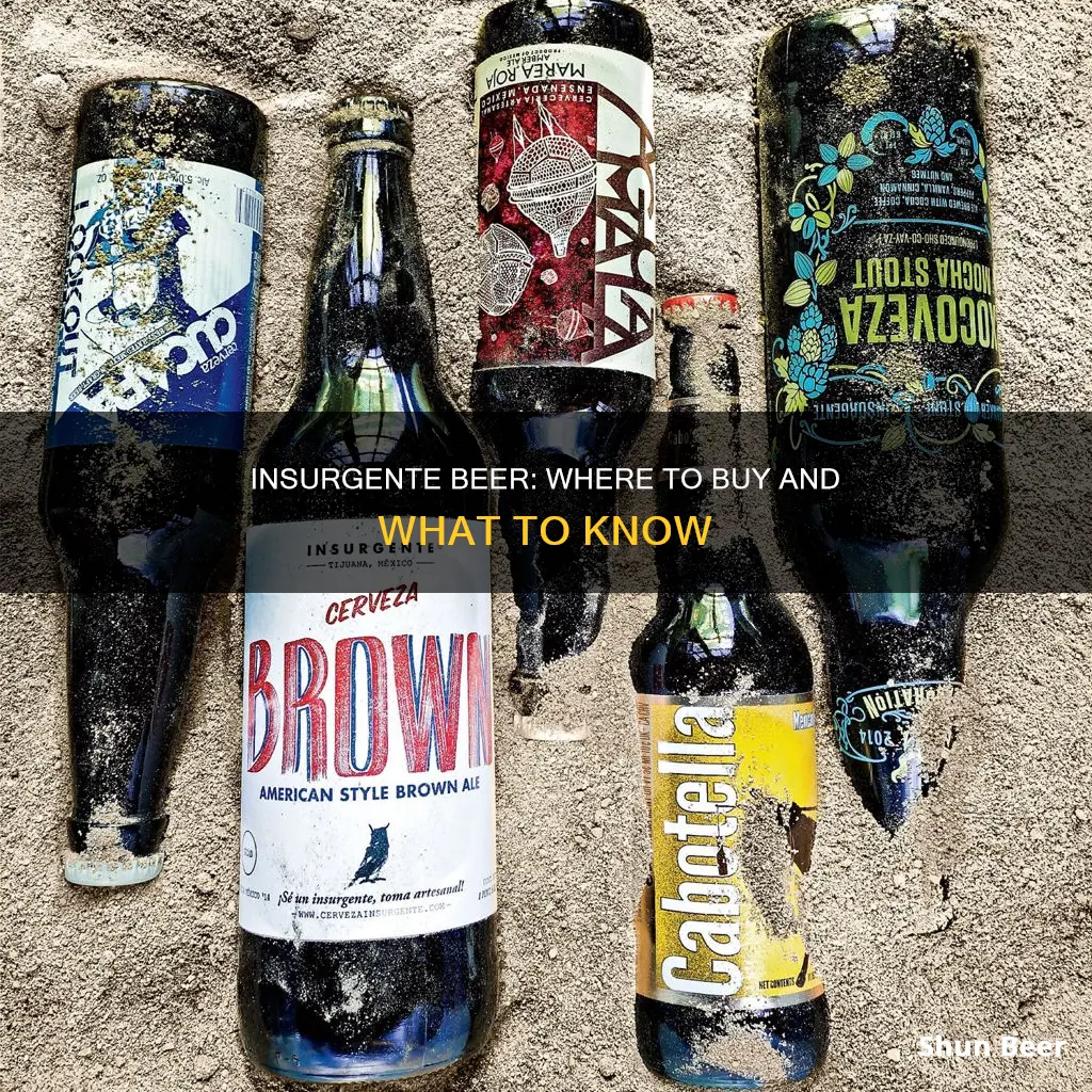 where can i buy insurgente beer