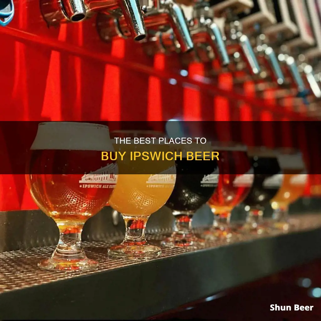 where can i buy ipswich beer