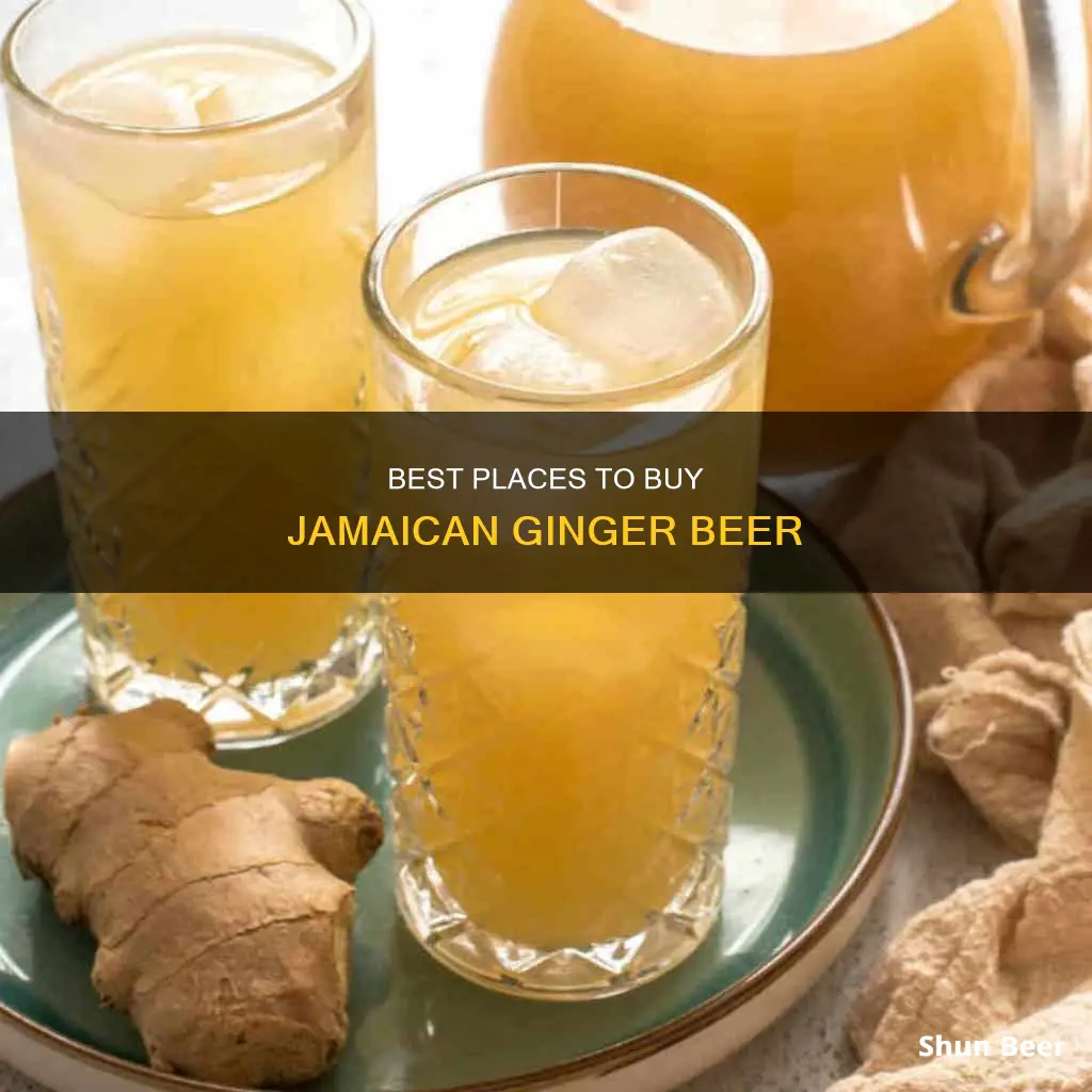 where can i buy jamaican ginger beer