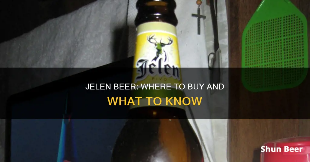 where can i buy jelen beer