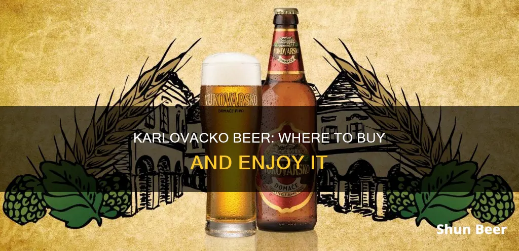 where can i buy karlovacko beer