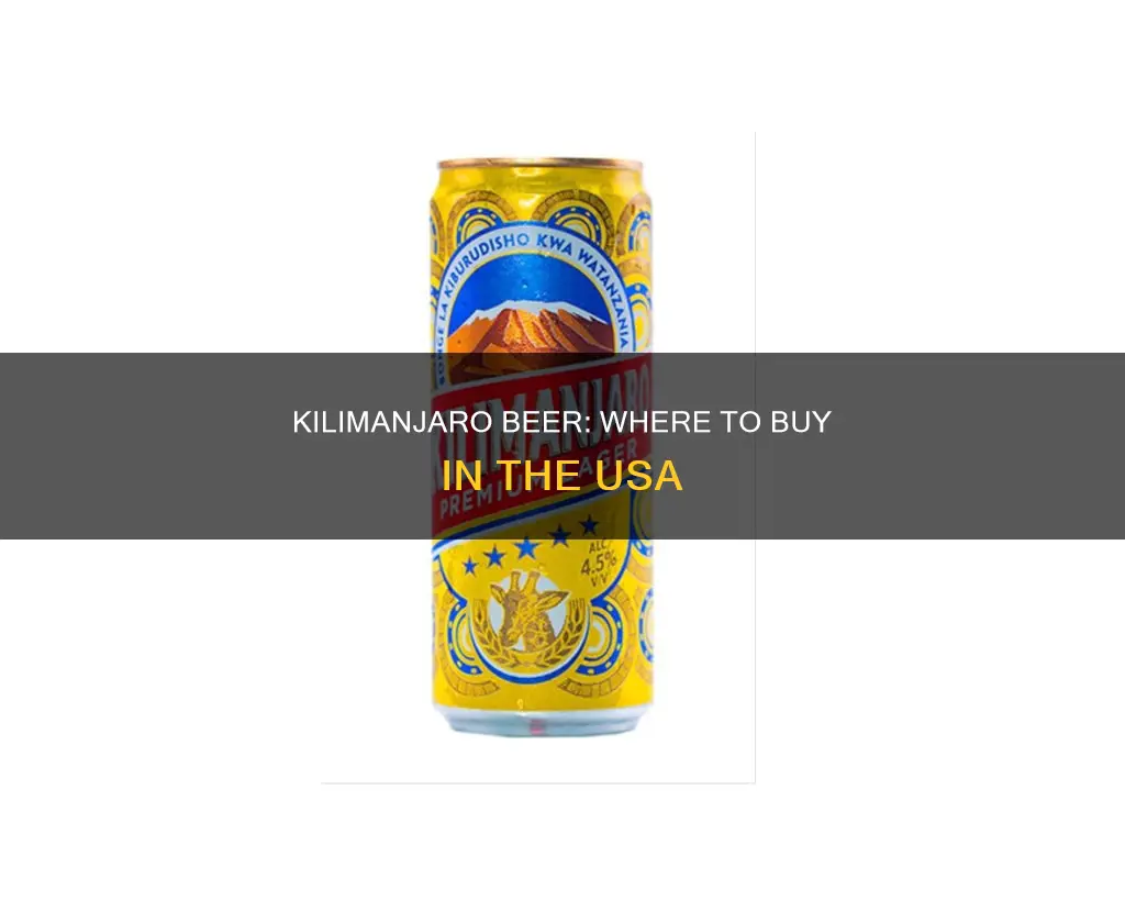 where can i buy kilimanjaro beer in usa