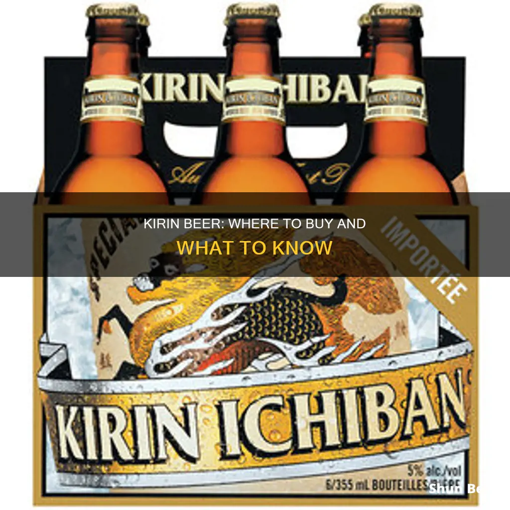 where can i buy kirin beer