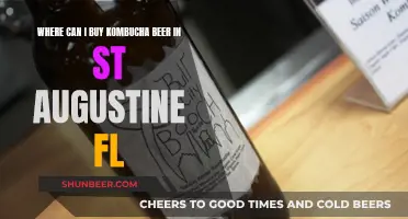 St. Augustine's Best Places for Kombucha Beer