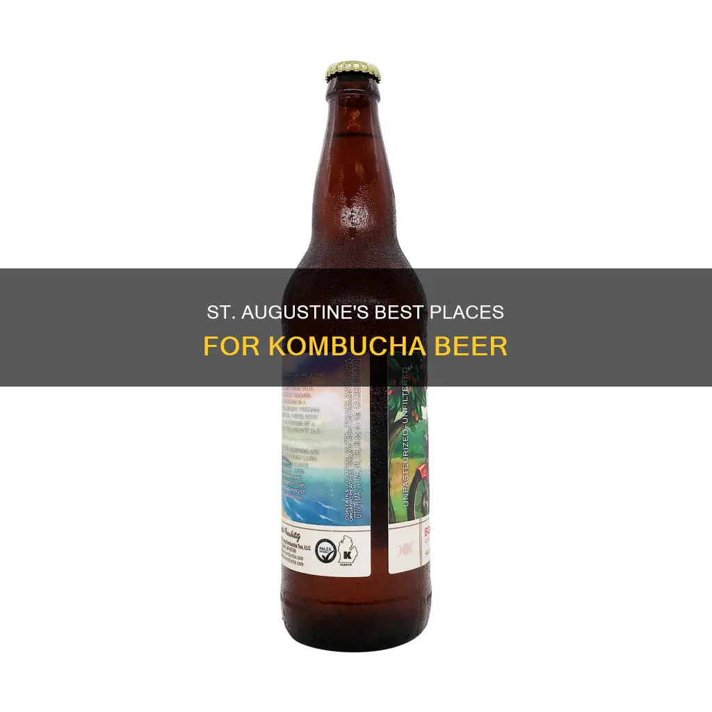 where can i buy kombucha beer in st augustine fl