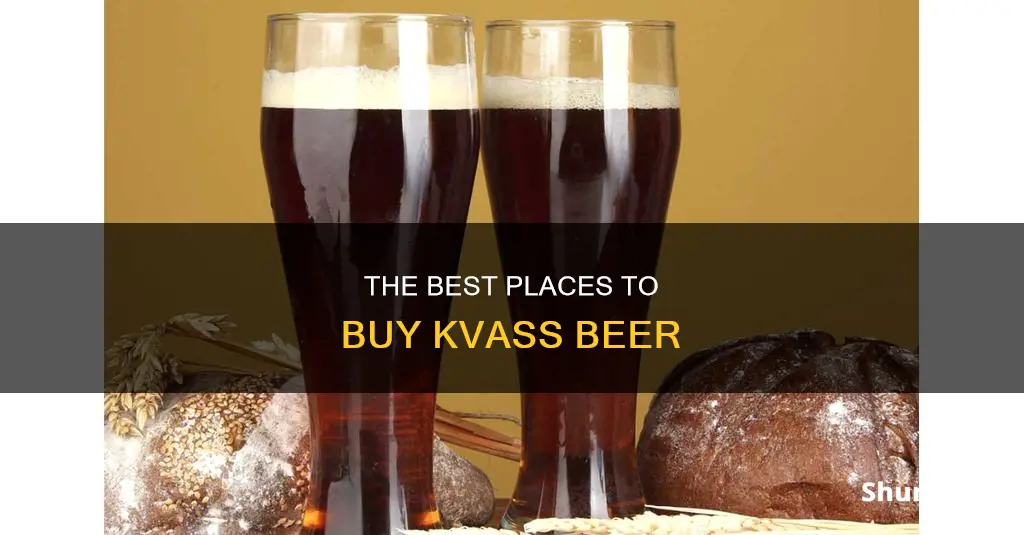 where can i buy kvass beer