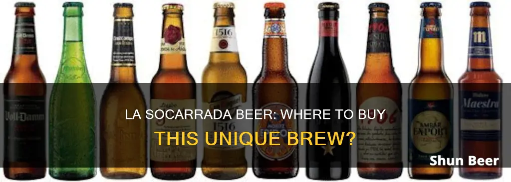 where can i buy la socarrada beer