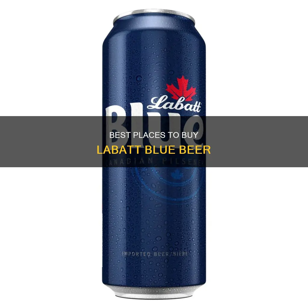 where can i buy labatt blue beer