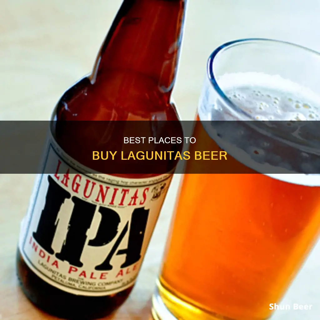 where can i buy lagunitas beer