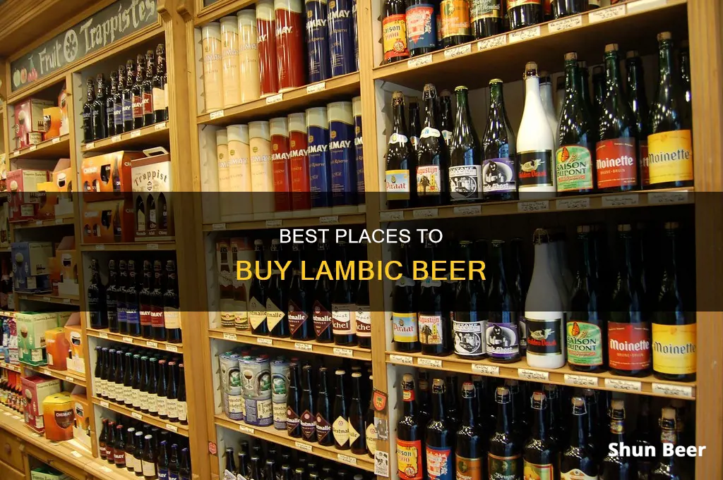 where can i buy lambic beer