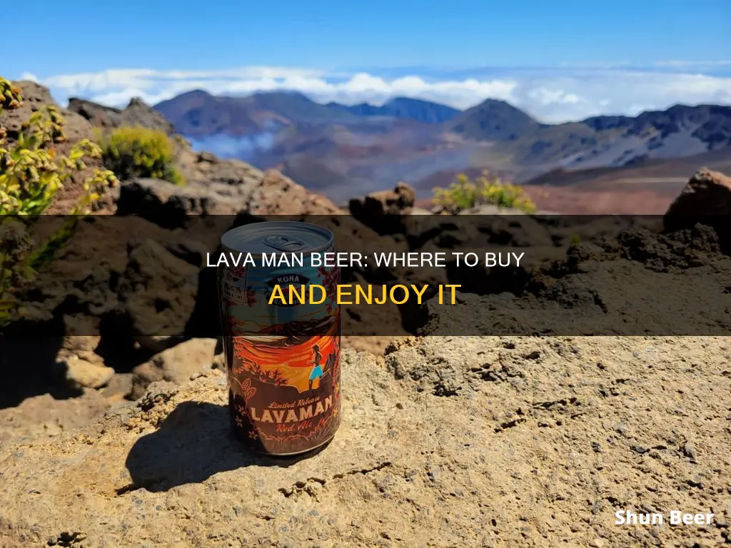 where can i buy lava man beer