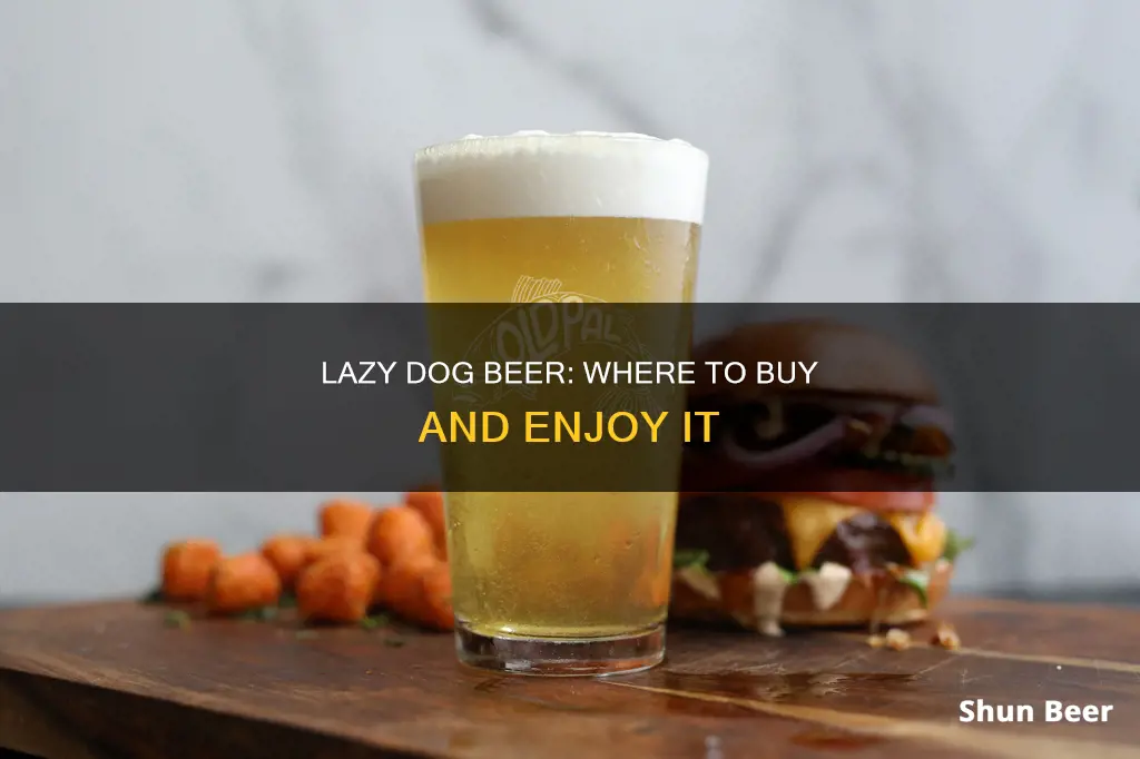 where can i buy lazy dog beer